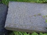 image of grave number 947929